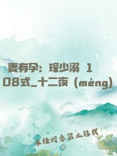 寶妻有孕：琛少溺寵108式