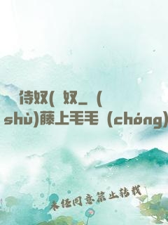 將軍侍奴(寢奴