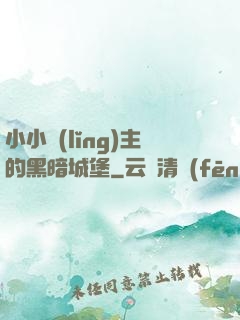 小小領(lǐng)主的黑暗城堡
