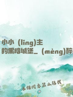 小小領(lǐng)主的黑暗城堡