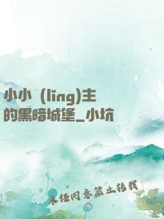 小小領(lǐng)主的黑暗城堡