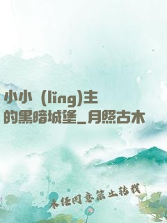 小小領(lǐng)主的黑暗城堡