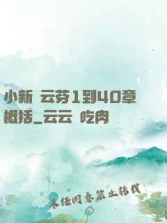 小新與云芬1到40章概括