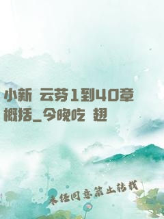 小新與云芬1到40章概括