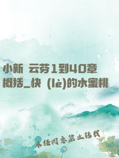 小新與云芬1到40章概括