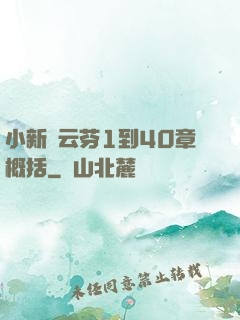 小新與云芬1到40章概括