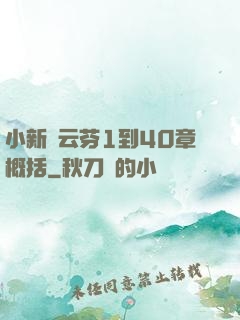 小新與云芬1到40章概括