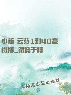 小新與云芬1到40章概括