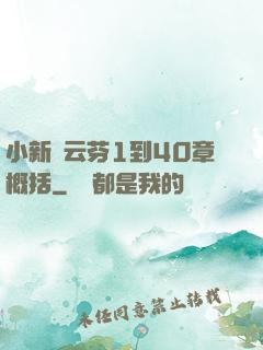 小新與云芬1到40章概括
