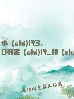 小時(shí)代3.0刺金時(shí)代
