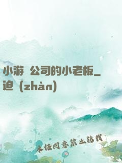小游戲公司的小老板