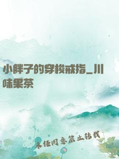 小胖子的穿梭戒指