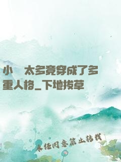 小號開太多竟穿成了多重人格