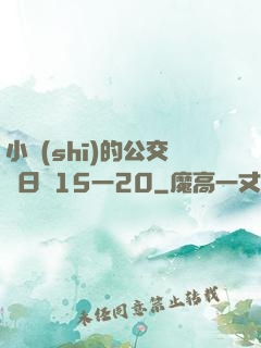 小詩(shī)的公交車日記15一20