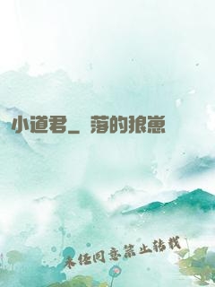 小道君