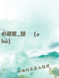 小道君