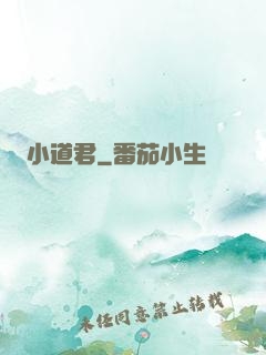 小道君