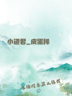 小道君
