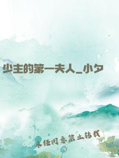 少主的第一夫人