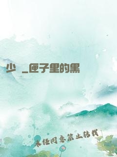 少帥