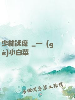 少林伏魔錄