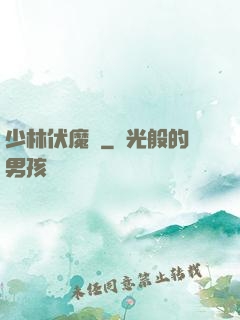 少林伏魔錄