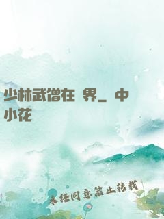 少林武僧在異界