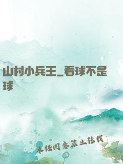 山村小兵王