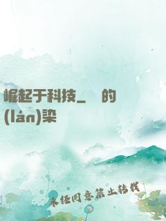 崛起于科技