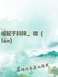 崛起于科技