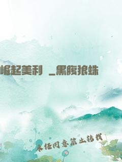 崛起美利堅