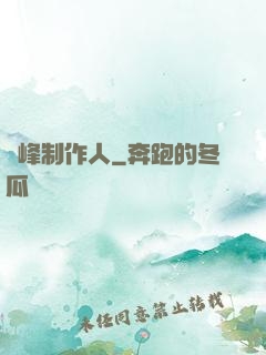 巔峰制作人