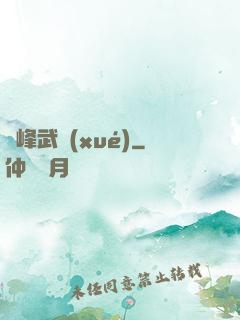 巔峰武學(xué)