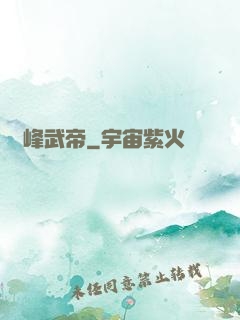巔峰武帝
