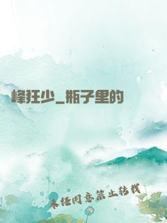 巔峰狂少