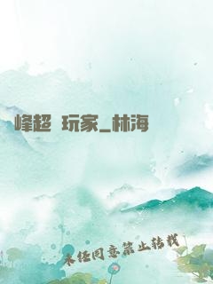 巔峰超級玩家