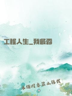 工程人生