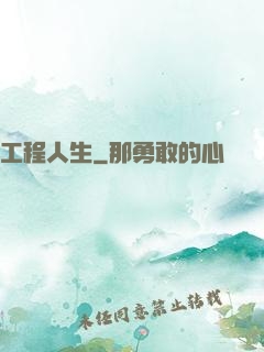 工程人生