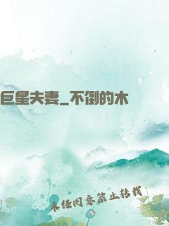 巨星夫妻