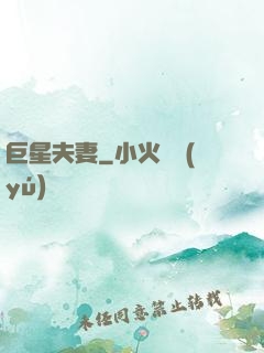 巨星夫妻