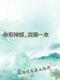 布衣神婿