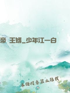 帝師王婿