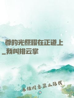 師尊的光照耀在正道上