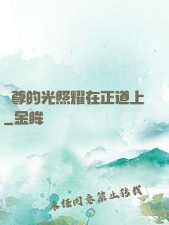 師尊的光照耀在正道上