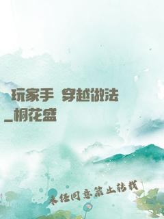 帶玩家手冊穿越做法師