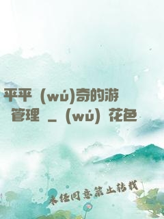 平平無(wú)奇的游戲管理員