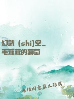幻武時(shí)空