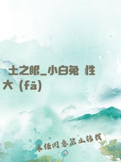 廢土之眼