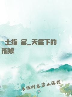 廢土指揮官