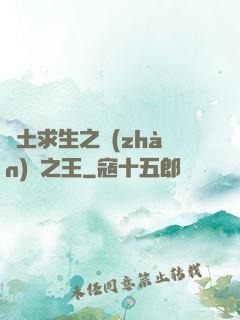 廢土求生之戰(zhàn)爭之王